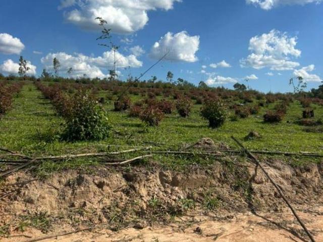Terreno venda em Região Imediata de Sorocaba, Região Metropolitana de Sorocaba