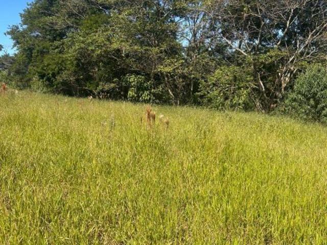 Terreno venda em Região Imediata de Sorocaba, Região Metropolitana de Sorocaba