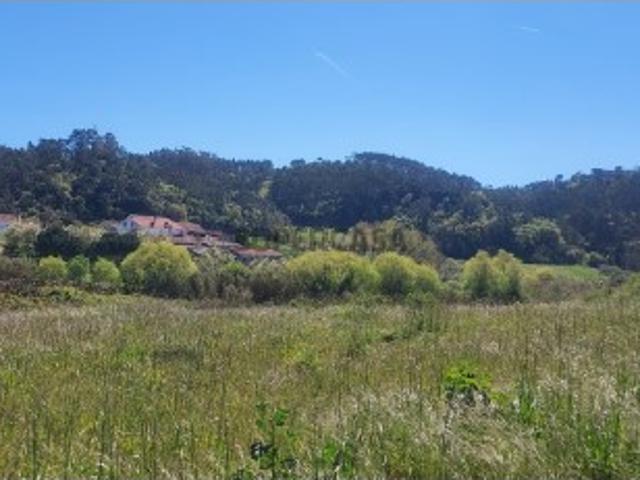 Terreno venda em Alcobaça, Leiria