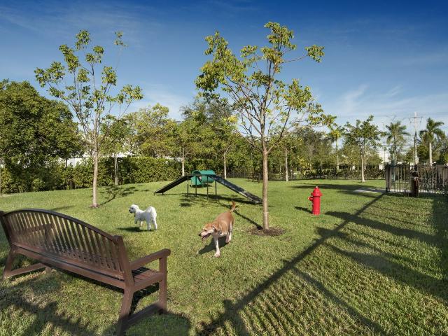 Apartment for rent in Fort Lauderdale, Florida