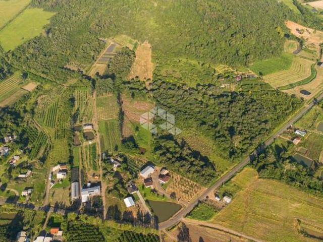 Sítio e chácara venda em Região Geográfica Imediata de Montenegro, Pareci Novo