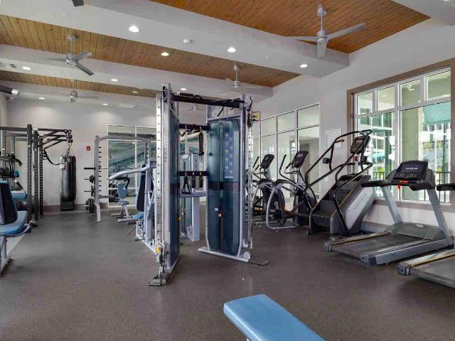 Apartment for rent in Vive Apartments, Fort Myers