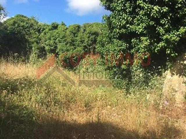 Terreno venda em Pombal, Leiria