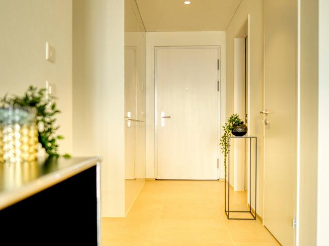 Apartment mieten in Tenero, Tenero-Contra