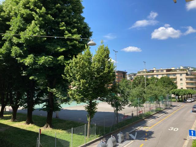 Apartment mieten in Molino Nuovo, Lugano