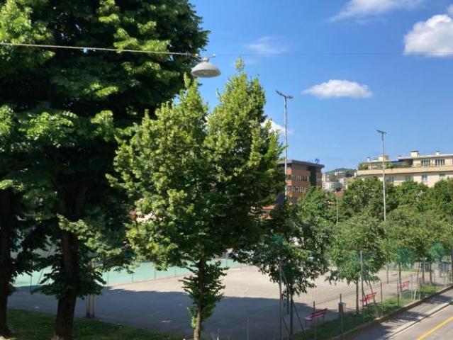 Apartment mieten in Molino Nuovo, Lugano