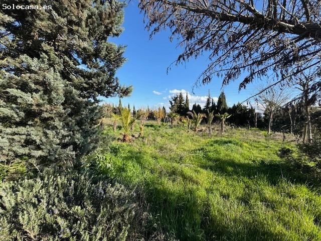 Local Comercial en venta en Coreses, Zamora