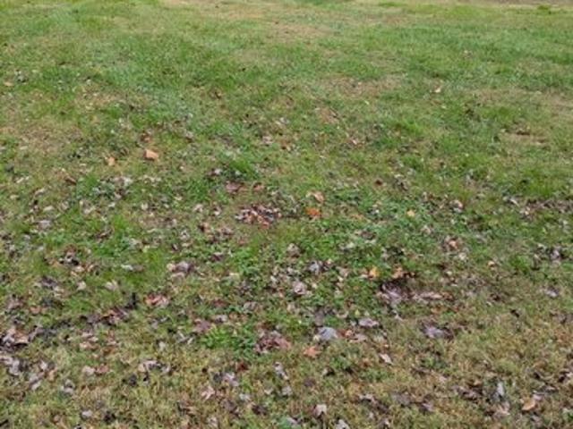 Land for sale in Bishopville, Maryland