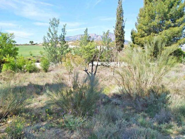 Chalet en venta en Comarca de Baza, Andalucía