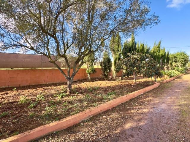Chalet en venta en Pina, Pla de Mallorca