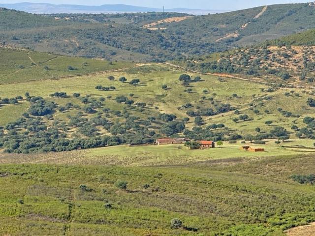 Chalet en venta en Verezales de Zamarrilla, Deleitosa