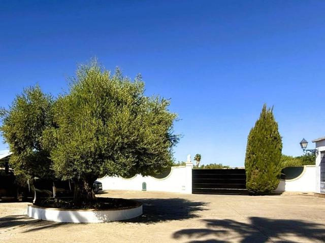Chalet en venta en Urbanización Nueva Jarilla, La Rinconada