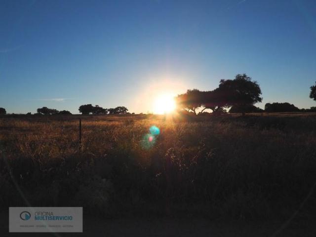 Chalet en venta en Reyes Huertas, Cáceres