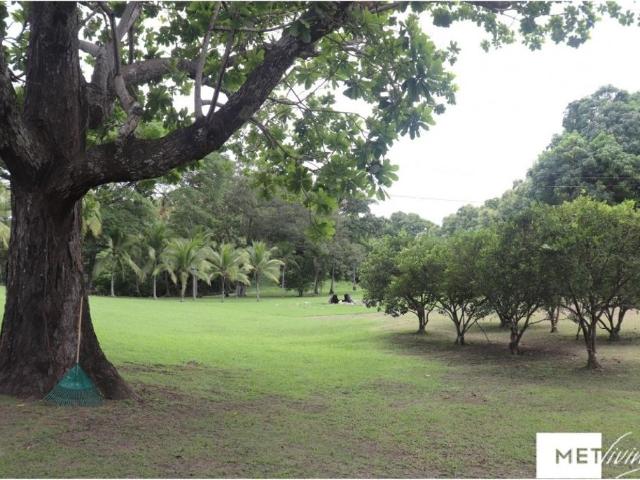 Vivienda de alto standing en venta Antón, Provincia de Coclé