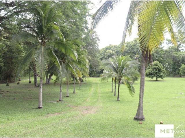 Vivienda de alto standing en venta Antón, Provincia de Coclé