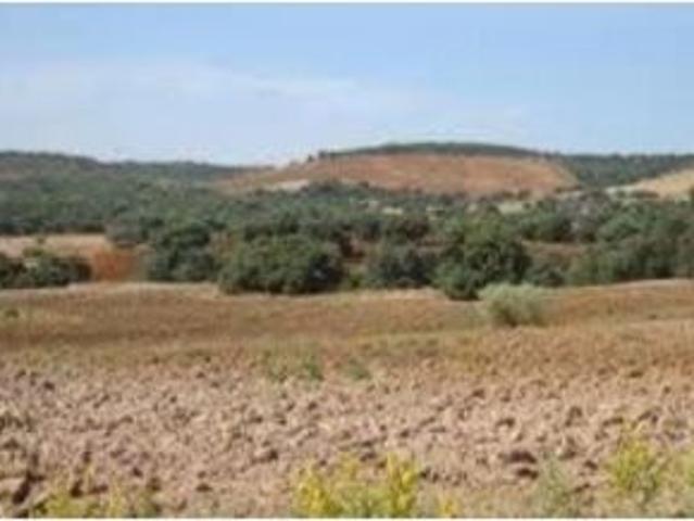 Chalet en venta en Hellín, Castilla-La Mancha