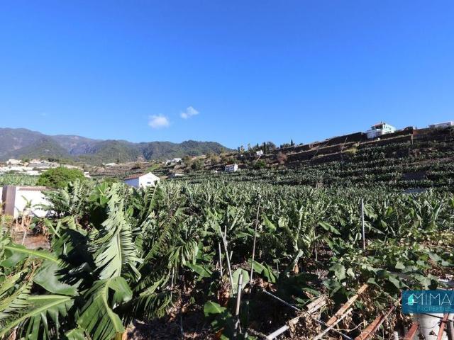 Chalet en venta en La Palma, Canarias