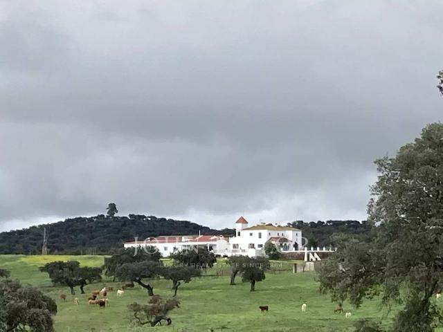 Chalet en venta en Llanos de Olivenza, Extremadura