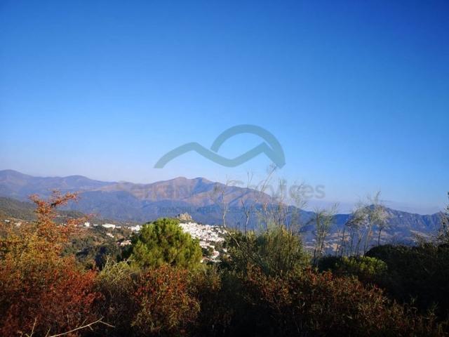 Chalet en venta en Serranía de Ronda, Andalucía