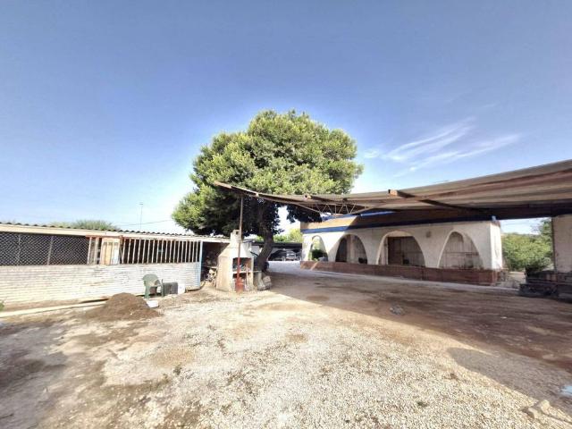 Chalet en venta en Urbanització Pinar de Guardamar, el Baix Segura / La Vega Baja