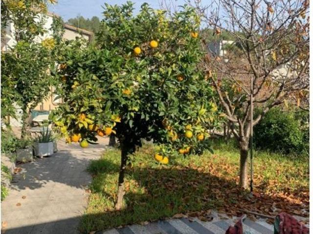Chalet en venta en Can Roca, Baix Llobregat