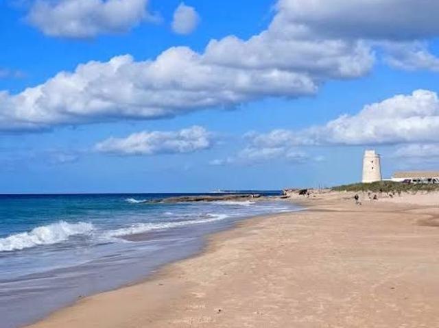 Chalet en venta en El Palmar, La Janda