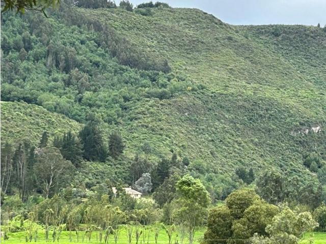 Vivienda de lujo en alquiler Zipaquirá, Cundinamarca