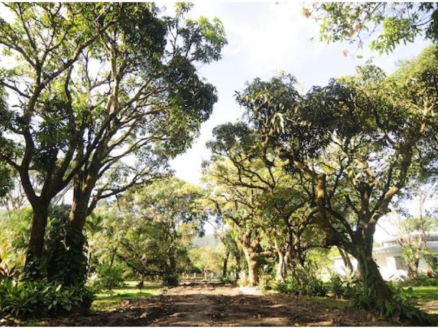 Vivienda de lujo en venta Antón, Panamá