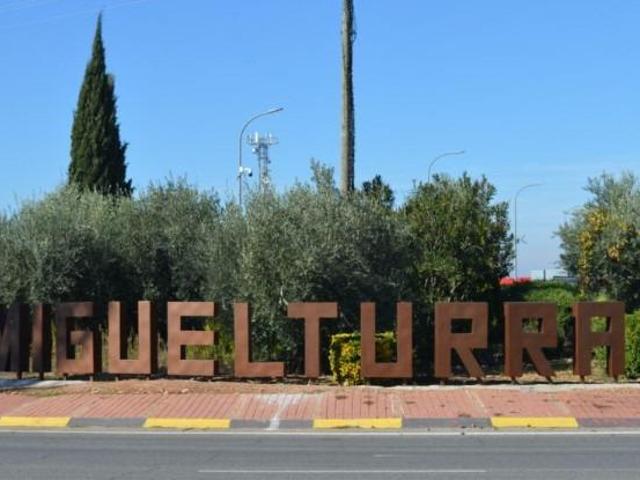 Casa en venta en Miguelturra, Castilla-La Mancha