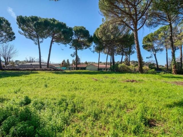 Chalet en venta en Villamanta, Madrid
