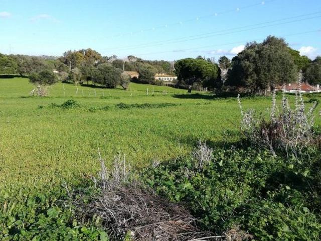 Chalet en venta en La Muela, La Janda