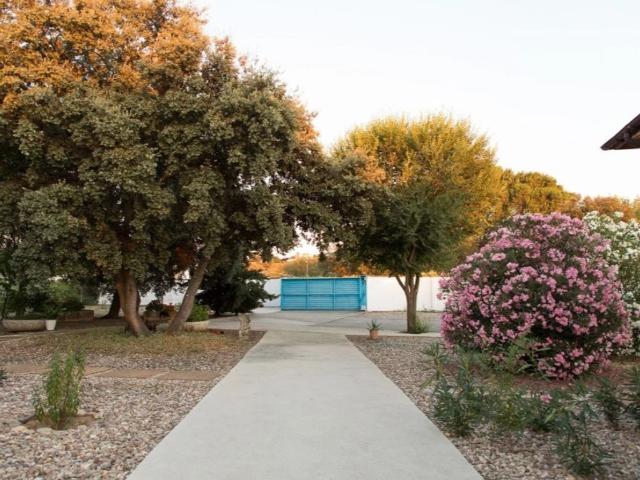 Chalet en venta en San Román De Los Montes, Castilla-La Mancha
