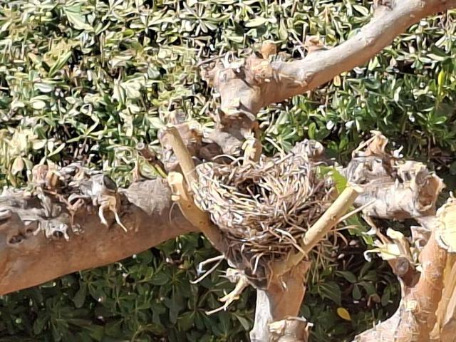 Chalet en alquiler en Urbanització la Parreta, la Plana Alta