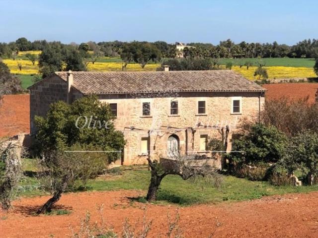 Villa en venta en Algaida