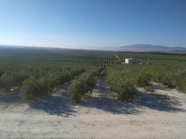 Chalet en venta en Las Protegidas, Jaén