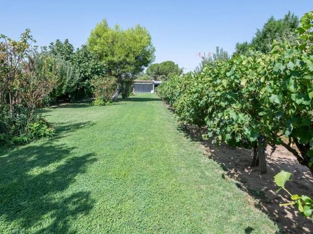 Chalet en venta en Medina-sidonia, Madrid