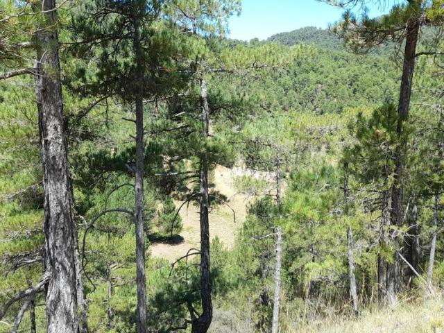 Chalet en venta en Siles, Andalucía