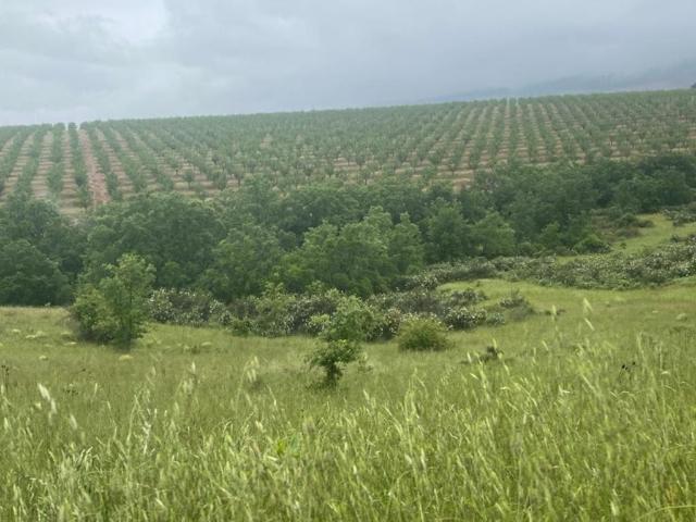 Chalet en venta en Toledo, Castilla-La Mancha