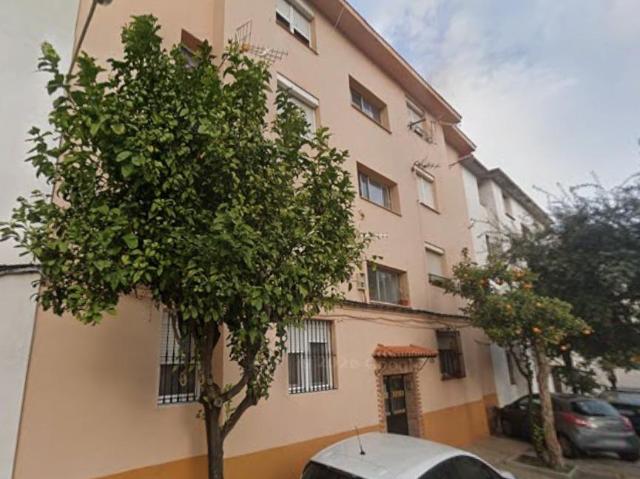 Piso en venta en Urbanización Parque Bolonia, Campo de Gibraltar