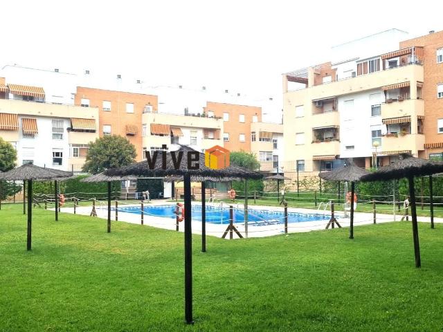 Piso en venta en Mairena Del Aljarafe, Circuito II