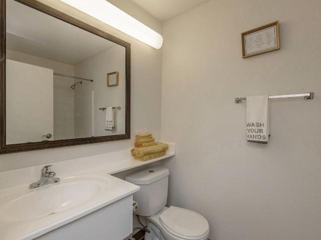 Apartment for rent in Durham, North Carolina