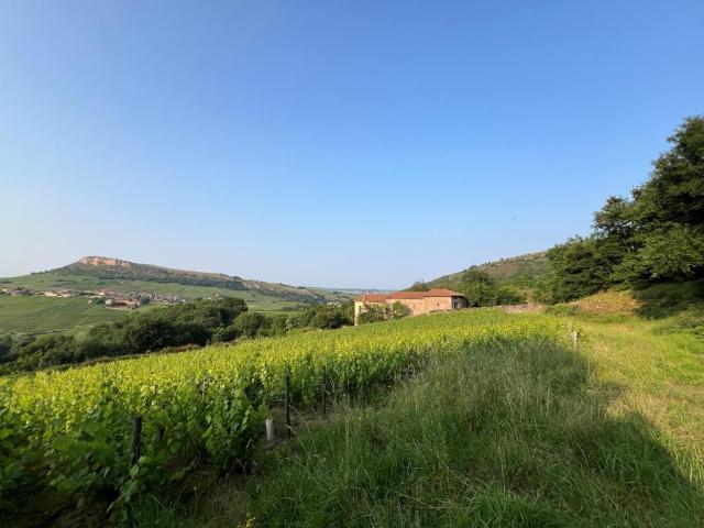 Maison vente à Mâcon, Solutré-pouilly