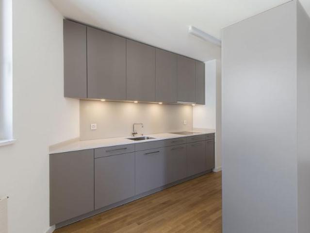 Apartment mieten in Grossbasel, Basel