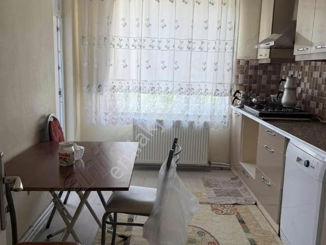 Devlet Mahallesi, Vize içerisinde kiralık mülk