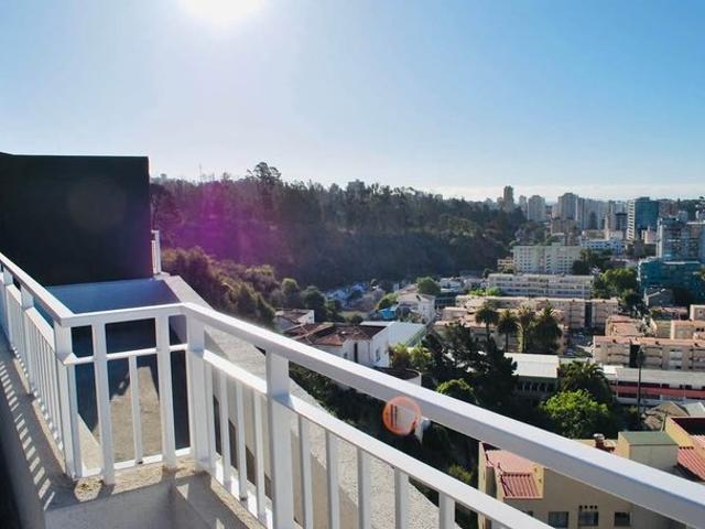 Viña del Mar, Álvarez