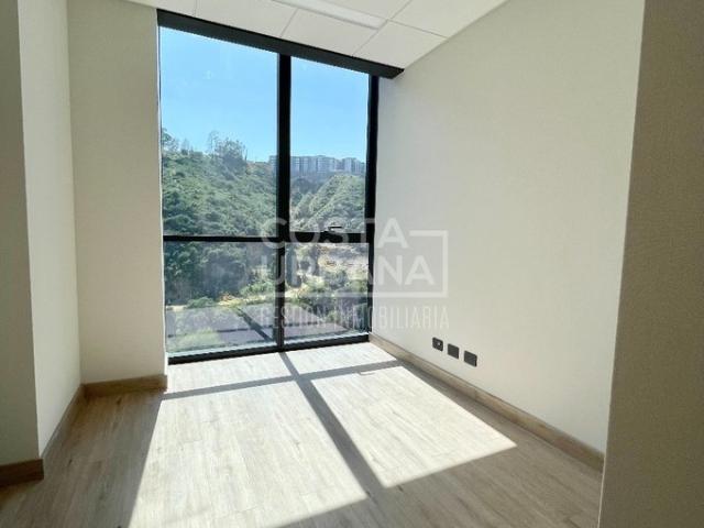 Viña del Mar, Calle Limache