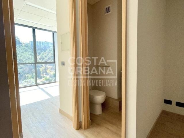 Viña del Mar, Calle Limache