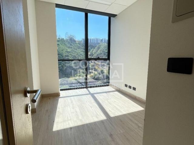 Viña del Mar, Calle Limache