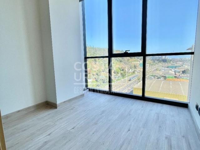 Viña del Mar, Calle Limache