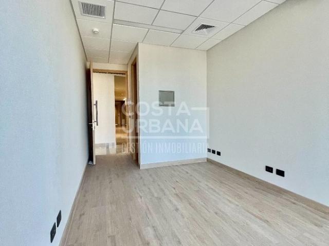 Viña del Mar, Calle Limache